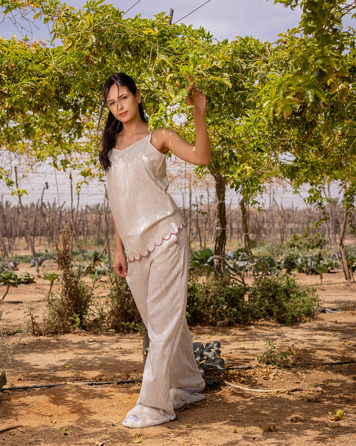 Heavenly Stripes Set (Ladies)- Olive Main image