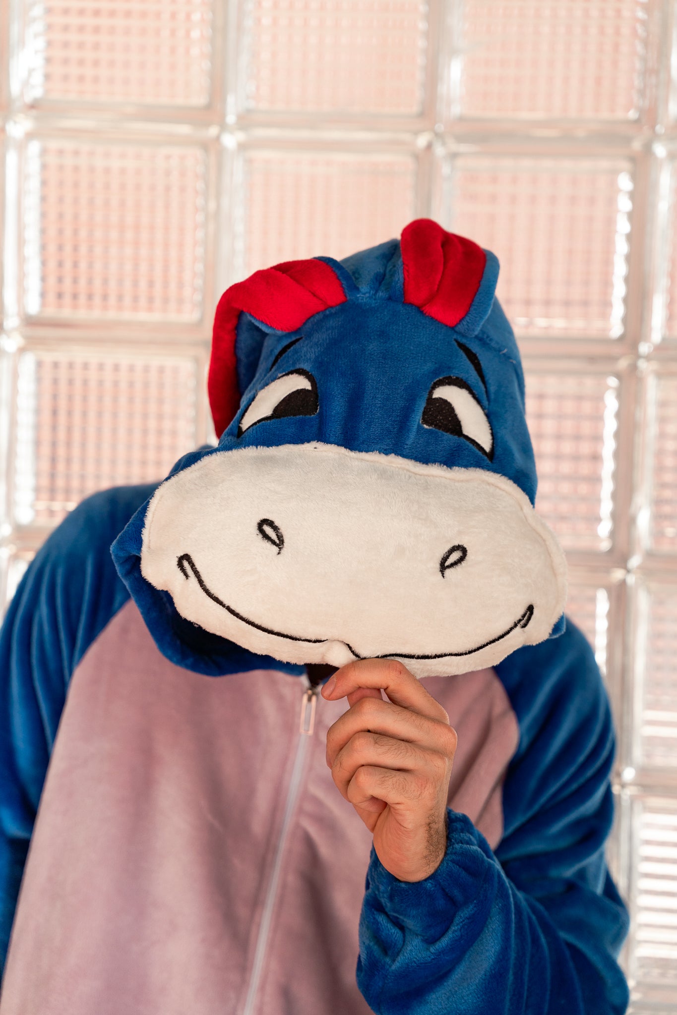 Donkey Onesie