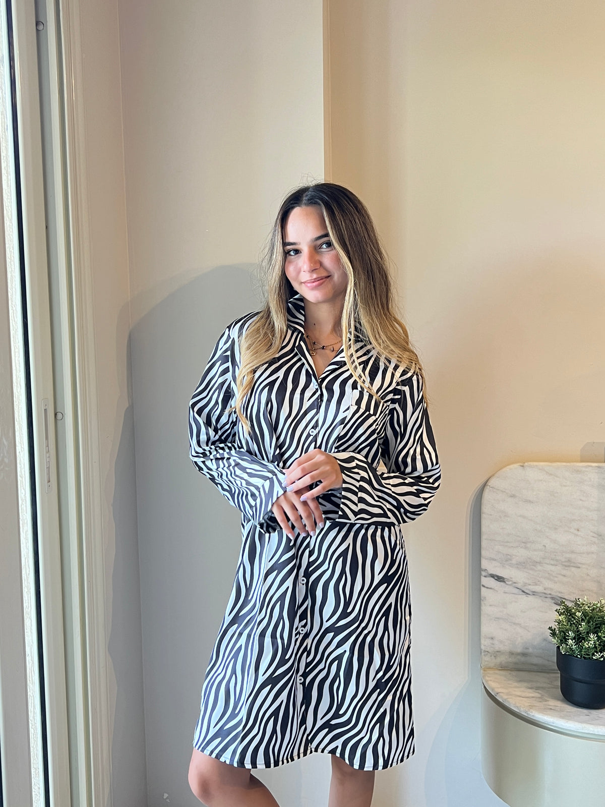 Zebra Satin Shirt Dress