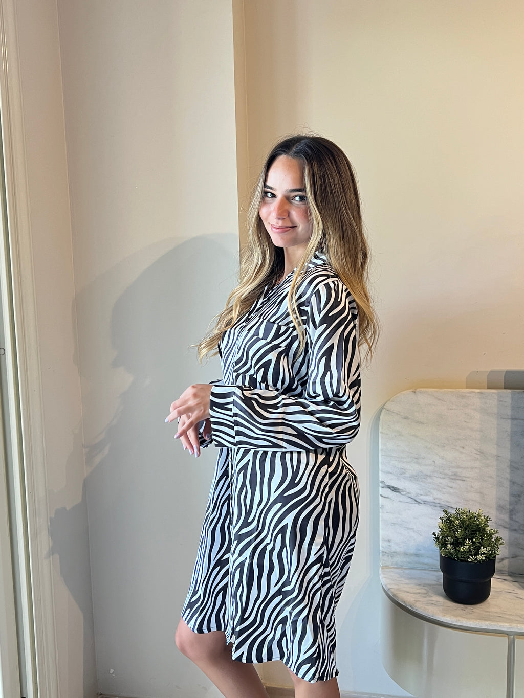 Zebra Satin Shirt Dress